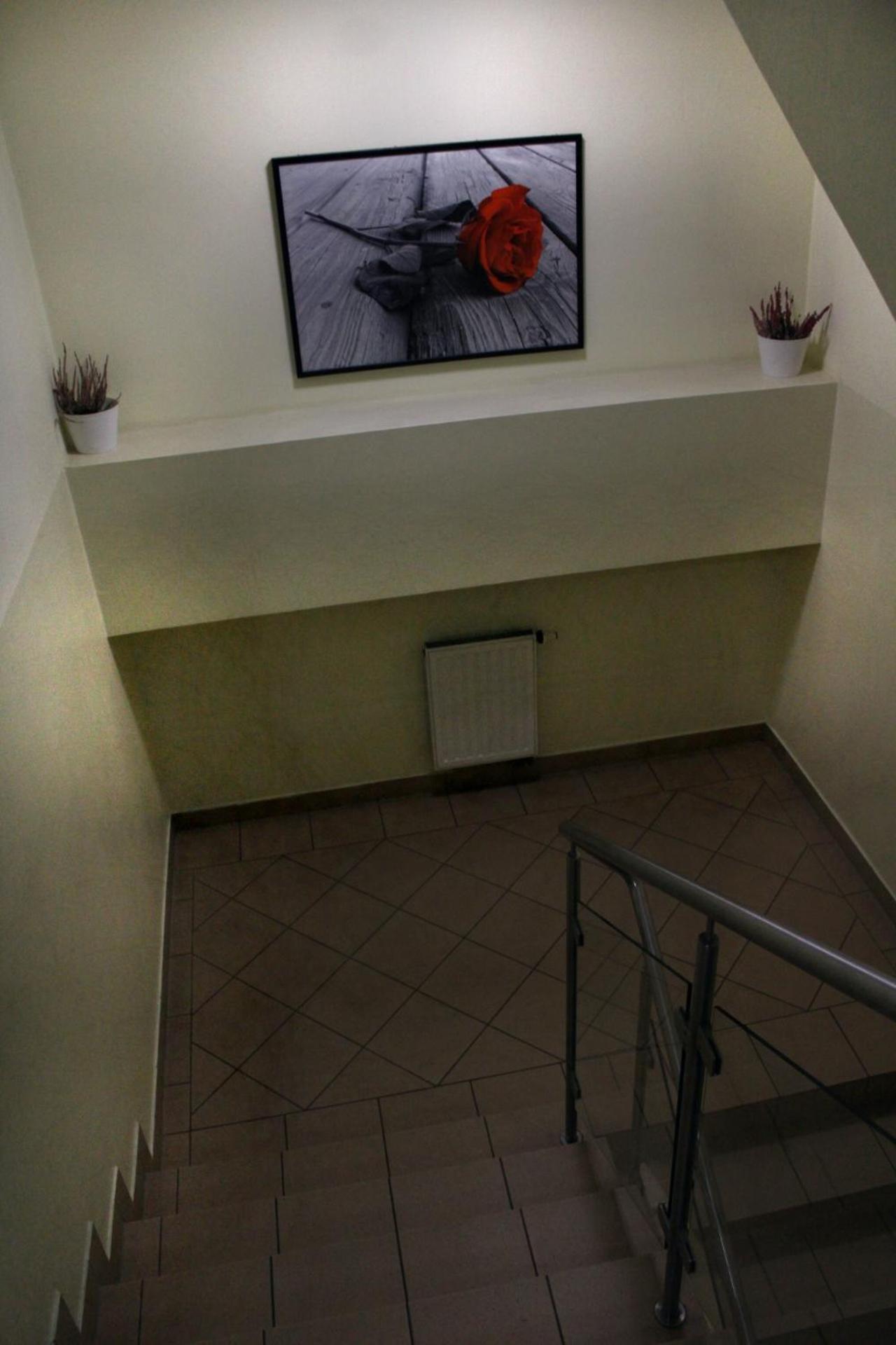 Hotel Kreator-Sport Krasków Eksteriør bilde